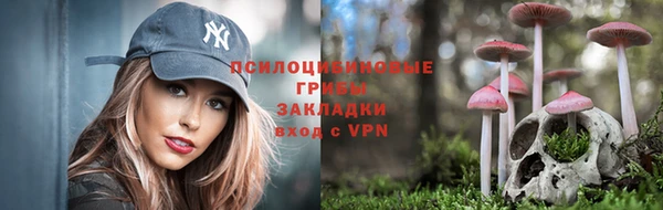 гидропоника Переславль-Залесский