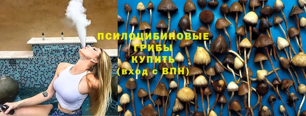 метадон Пестово